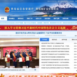 yjt.qinghai.gov.cn网站截图