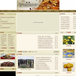 www.chenpi.org.cn网站截图