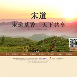 www.songdaotea.com网站截图