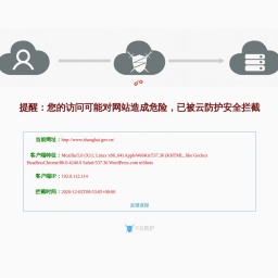 www.shanghai.gov.cn网站截图
