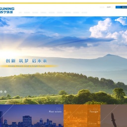 www.suning.com.cn网站截图