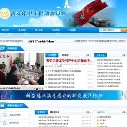 wsjk.jian.gov.cn网站截图