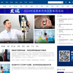 www.chinaipo.com网站截图