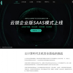 www.yunsuo.com.cn网站截图