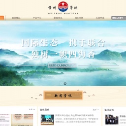 www.maoyuanchina.com.cn网站截图