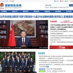 www.chinatax.gov.cn网站截图